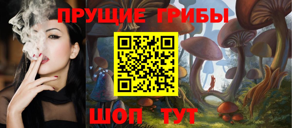 Галлюциногенные грибы Psilocybine cubensis Алапаевск